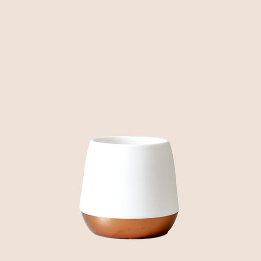 Big Jo' (12oz), Matte White