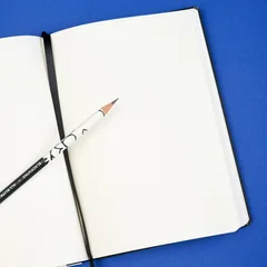 Blackwing x AEW "Freshly Squeezed" Orange Cassidy Notebook 3