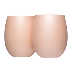 Corkcicle Sommelier Stemless Set (2)