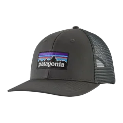Patagonia P-6 Logo Trucker Hat