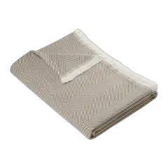 Ledger Khaki/ Parchment|Other