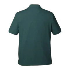 Charleston Green|Back