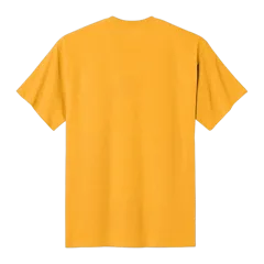 C Gold|Back