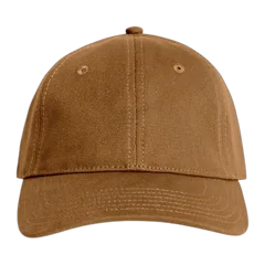 Camel|Front