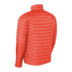 Fire Brick Red|Back