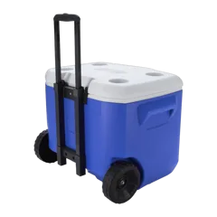 Blue|Back