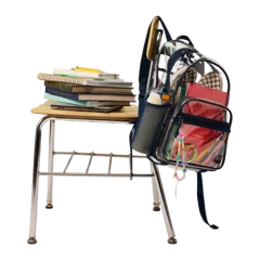 Away Clear Daily Backpack