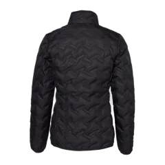 Columbia Women's Delta Ridge II Down Jacket in Black, back