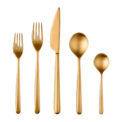 Linea Flatware 20-Pc Set by Mepra Brushed Gold