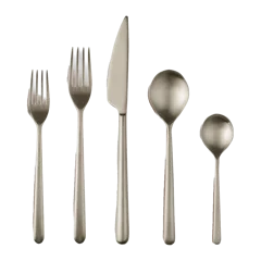 Linea Flatware 20-Pc Set by Mepra Brushed Champagne