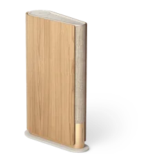 Bang & Olufsen Beosound Emerge