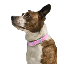 Waterproof Dog Collar