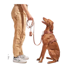 Waterproof Dog Leash