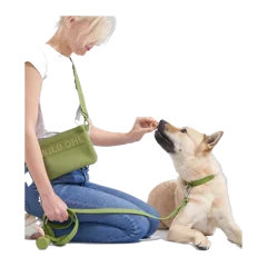 Waterproof Dog Leash