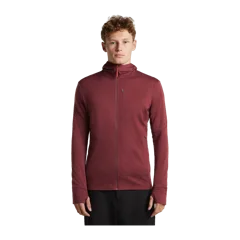 Men's Merino 260 Quantum LS Zip Hoodie
